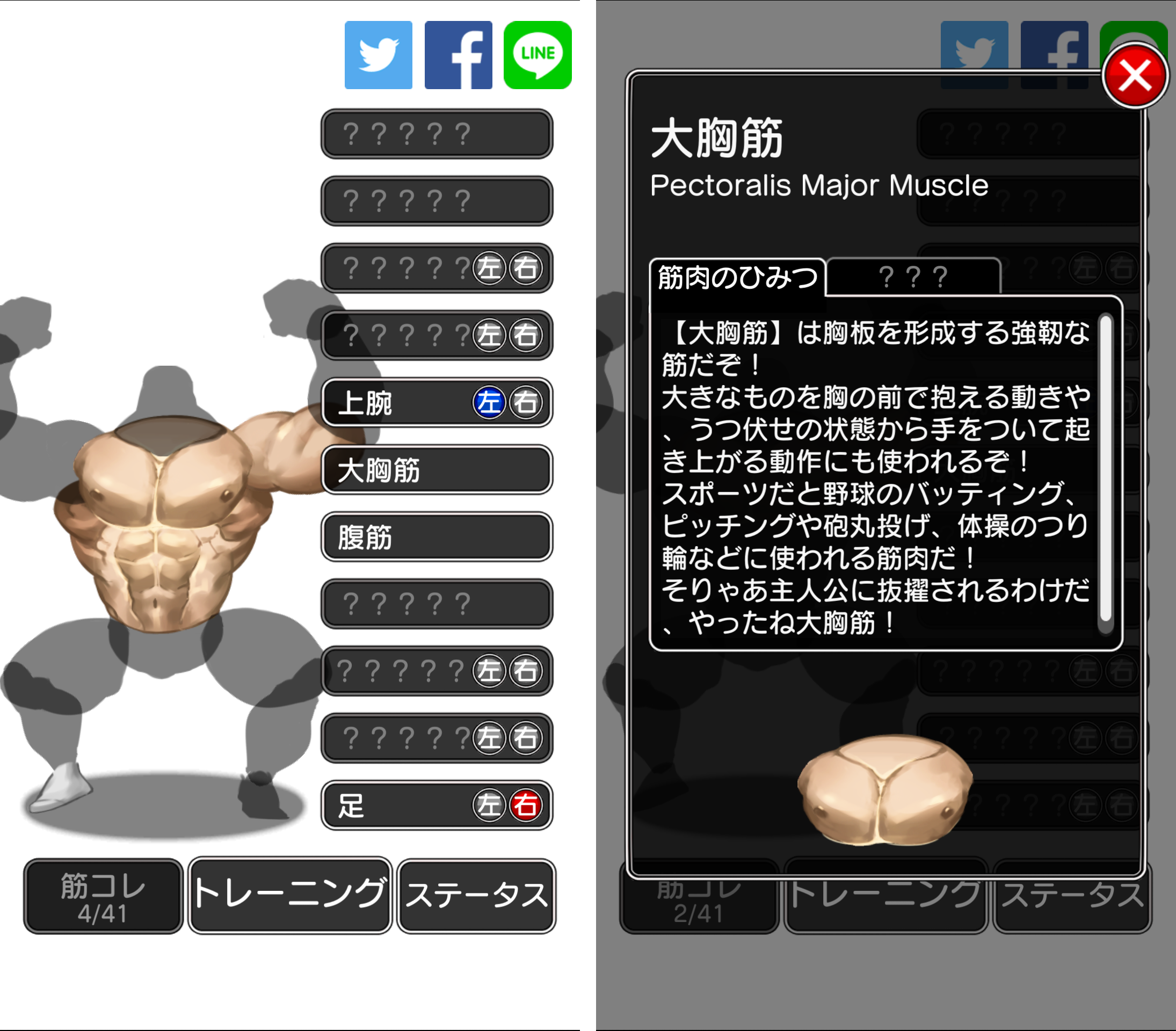 androidアプリ キンニクエスト　筋肉と筋肉と筋肉と呪われし筋肉攻略スクリーンショット7