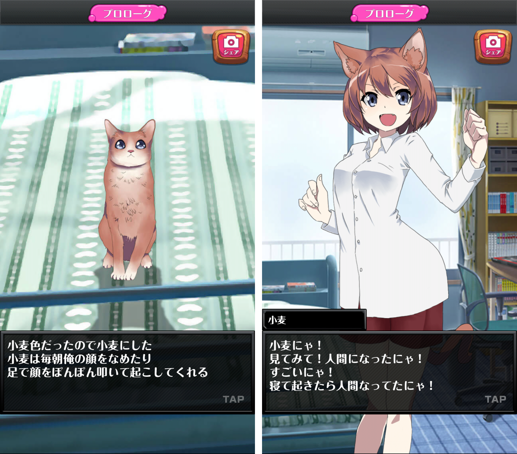 androidアプリ 擬人缶～俺のペットが少女になった～攻略スクリーンショット1