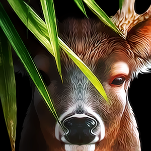 Life Of Deer（鹿として生きよ）の画像