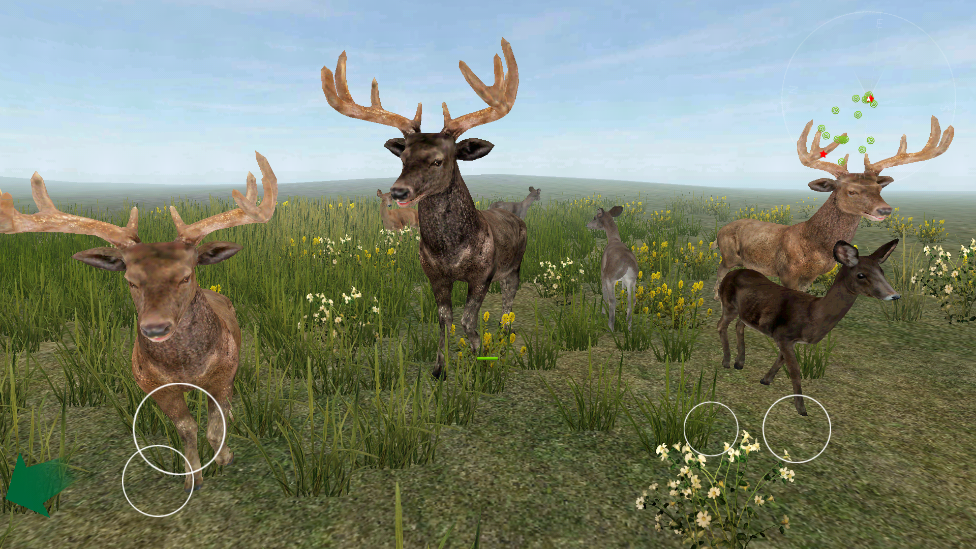 androidアプリ Life Of Deer（鹿として生きよ）攻略スクリーンショット7