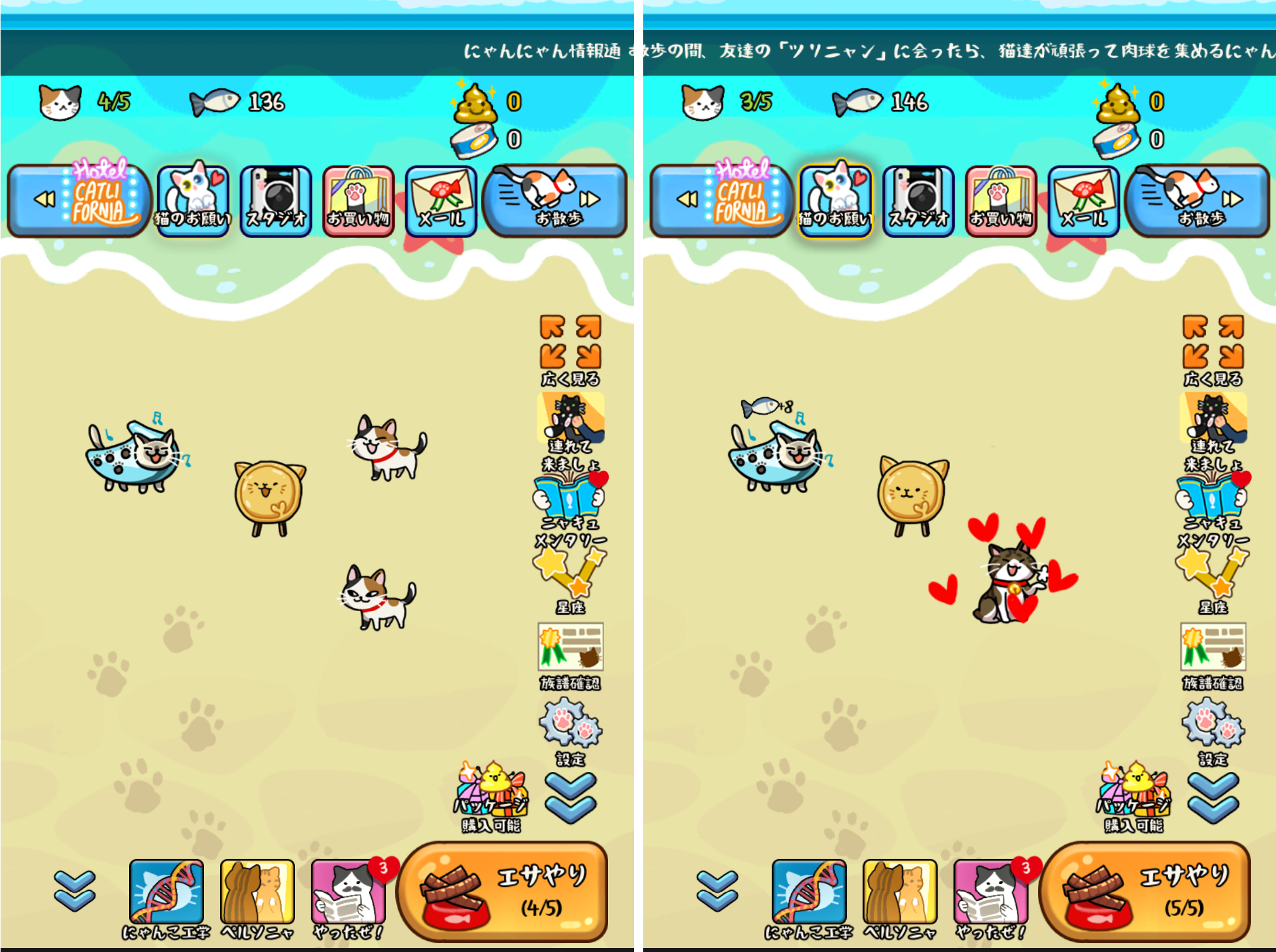 マイにゃんこ：どこでもいっしょに androidアプリスクリーンショット1
