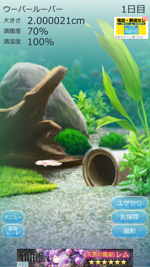 癒しのウーパールーパー育成ゲーム androidアプリスクリーンショット1