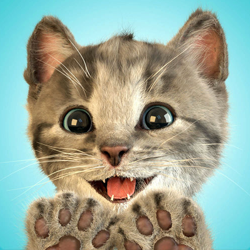 小さな子猫（Little Kitten）の画像