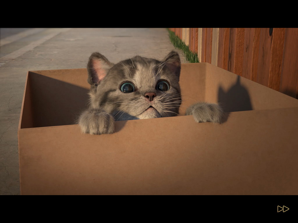androidアプリ 小さな子猫（Little Kitten）攻略スクリーンショット1