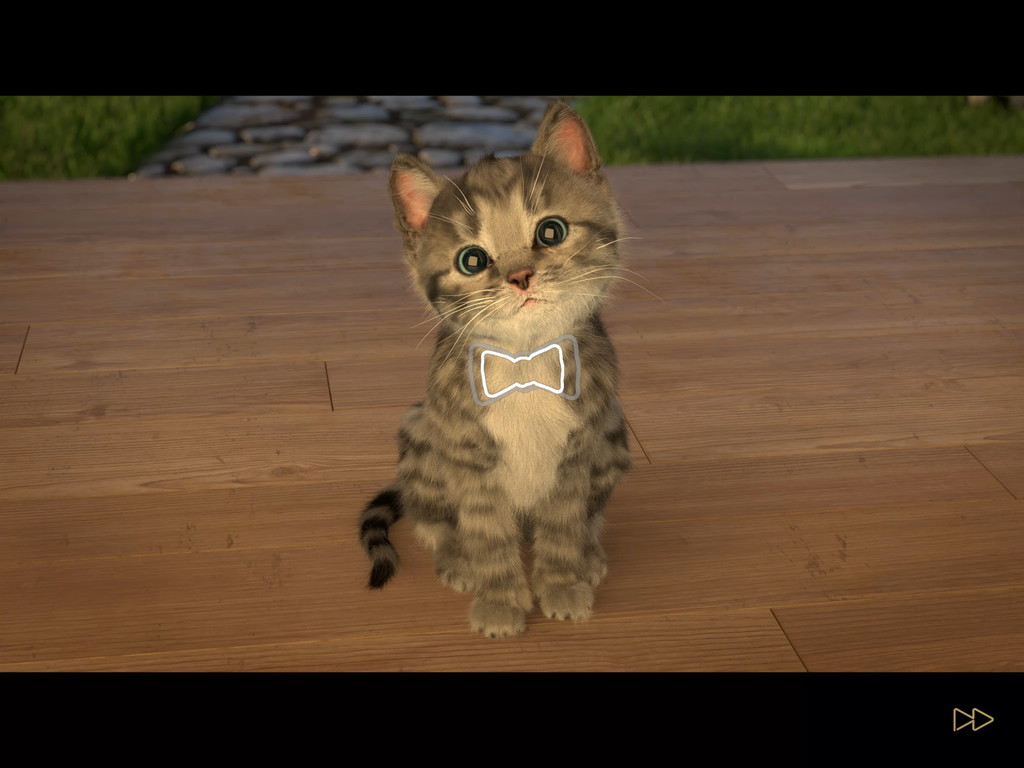 androidアプリ 小さな子猫（Little Kitten）攻略スクリーンショット2