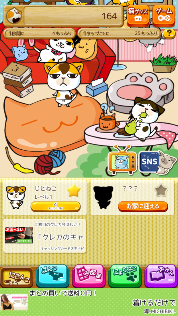 androidアプリ まめ猫もっふりぱんつ（ねこぱん）攻略スクリーンショット3