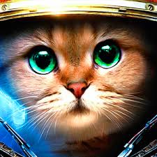 Armored Kittenのアプリアイコン
