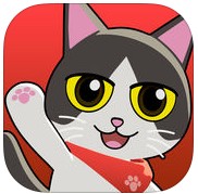 うちのネコさんの画像
