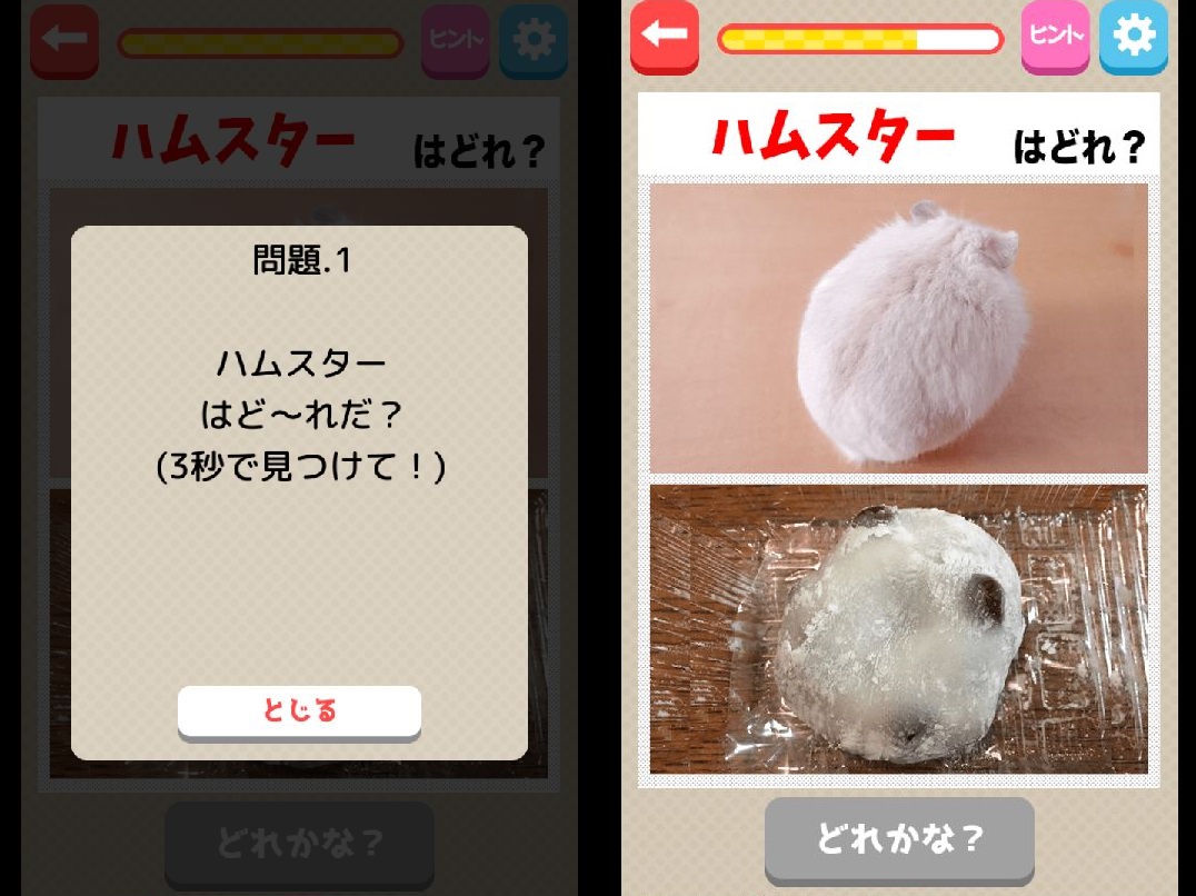 androidアプリ 本物ど〜れだ?攻略スクリーンショット2