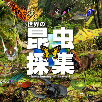 世界の昆虫採集ライトの画像