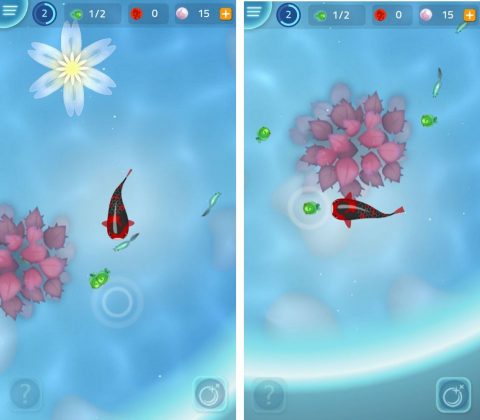 【Zen Koi 2】レビュー画像