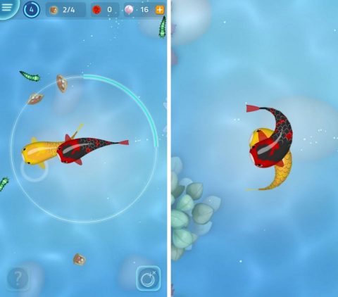 【Zen Koi 2】レビュー画像