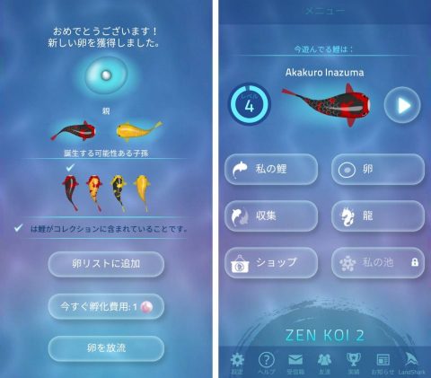 【Zen Koi 2】レビュー画像