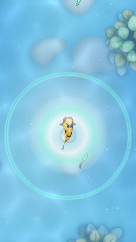 【Zen Koi 2】レビュー画像