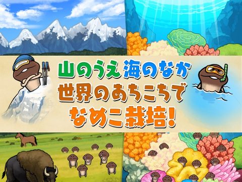 なめこ栽培キット ザ・ワールド