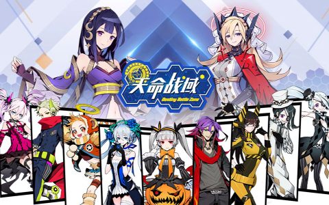 天命战域 レビュー