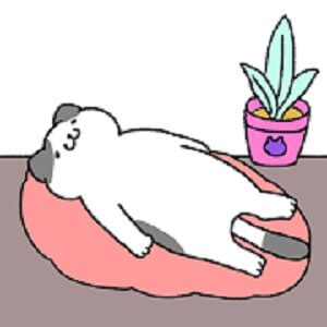 ねこしか勝たんのアプリアイコン