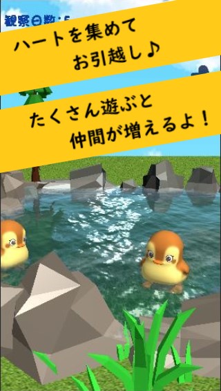 かもさんぽ　癒しの動物観察ゲーム（育成シミュレーション）の画面