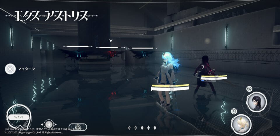 足元の水面の映り込みに注目してほしい
