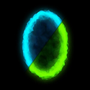 AW RPG： いせかいRPGのアプリアイコン
