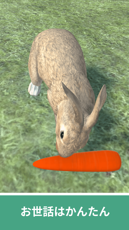 うさぎセラピー  – ペット育成ゲームの画面