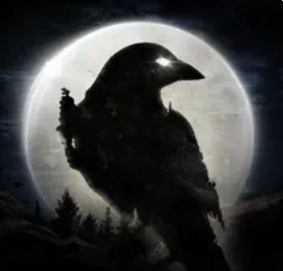Night Crows　配信日と事前登録の情報の画像