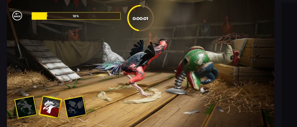 Rooster Fights