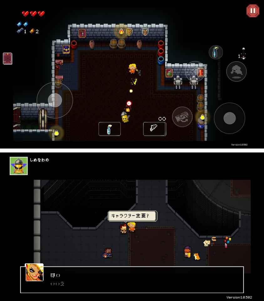 Enter the Gungeon