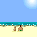ハワイの風PETの当時のゲーム画面