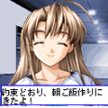 ポケットヒロインの当時のゲーム画面