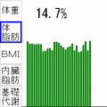 ｉ体重体脂肪記録の当時のゲーム画面