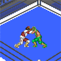 ファイヤープロレスリングαの当時のゲーム画面4