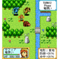 ドラゴンXドラゴン　TAPESTRYの当時のゲーム画面2