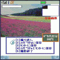 あいあいアルバムDXの当時のゲーム画面2