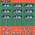 夕刊フジの詰め将棋　第29集の当時のゲーム画面4
