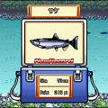 めざせ!！釣りマスター【北の大地編】の当時のゲーム画面3