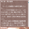 携帯小説Chun Books　『死と乙女 Tod und Madchen』の当時のゲーム画面
