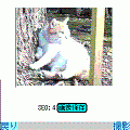 アルバム３の当時のゲーム画面2