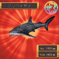 めざせ！！釣りマスター～世界お魚博編～の当時のゲーム画面4