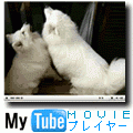 MyTube Movie Player for docomo v1.0の当時のゲーム画面2