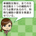 生物Ⅰまる覚えの当時のゲーム画面3