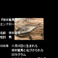 人生のエンドロールの当時のゲーム画面2