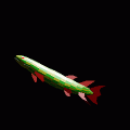 Eustenopteronの当時のゲーム画面3