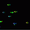 FishTankの当時のゲーム画面