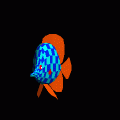 ButterflyFishの当時のゲーム画面2