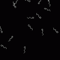 Spermの当時のゲーム画面