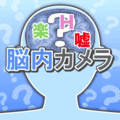 脳内カメラの当時のゲーム画面