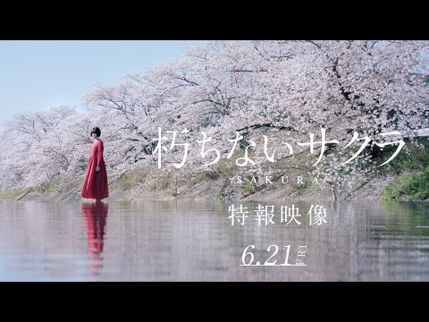 映画『朽ちないサクラ』特報映像＿2024年6月21日（金）公開